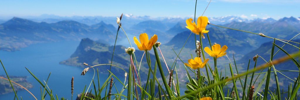 Becky Hernandez 👩🏻‍🏫 banner