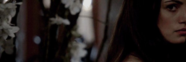 TARRWYNNS Profile Banner