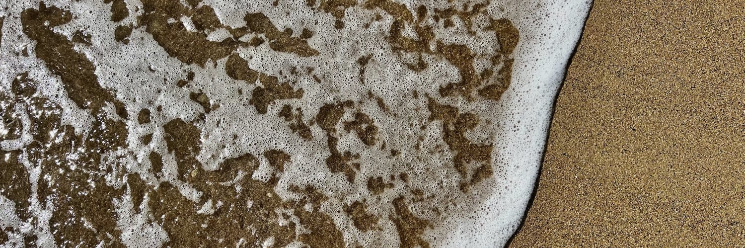 Blue Raptor 🦋 banner