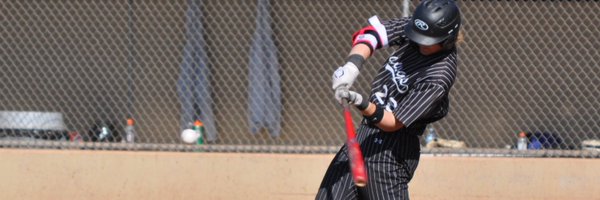 cam_gerla Profile Banner