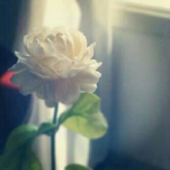 من اجل الحق banner