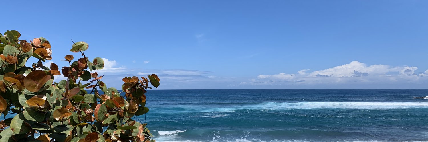 _AvianBomay's profile banner image