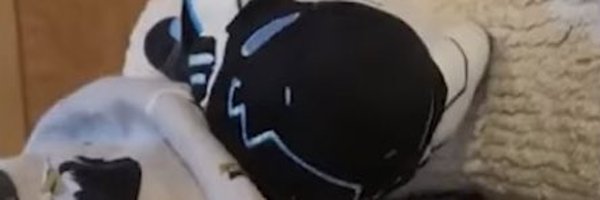 DontDoStin Profile Banner