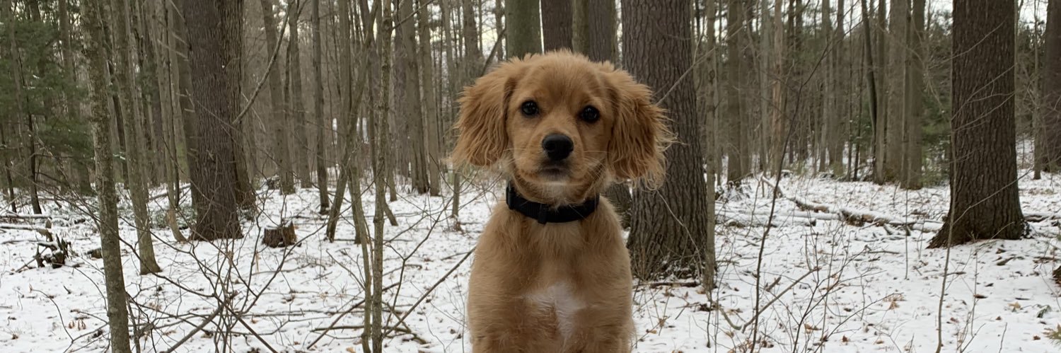 MossChris's profile banner image