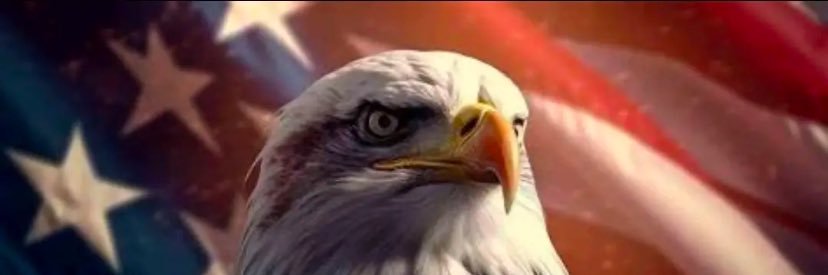 GREAT AMERICA MILITARY banner