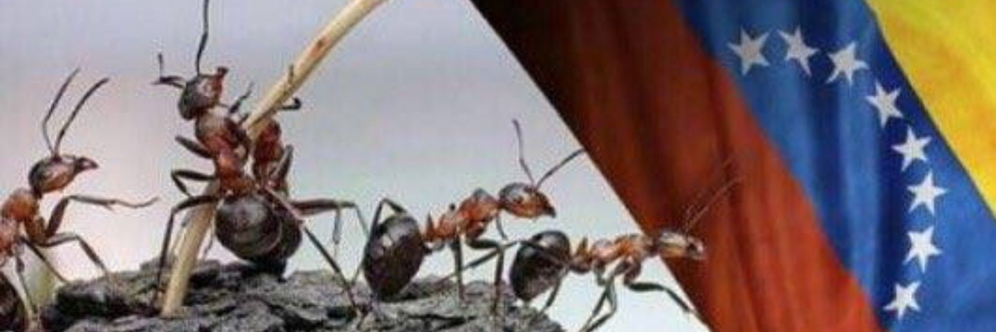 AishaSaenz's profile banner image