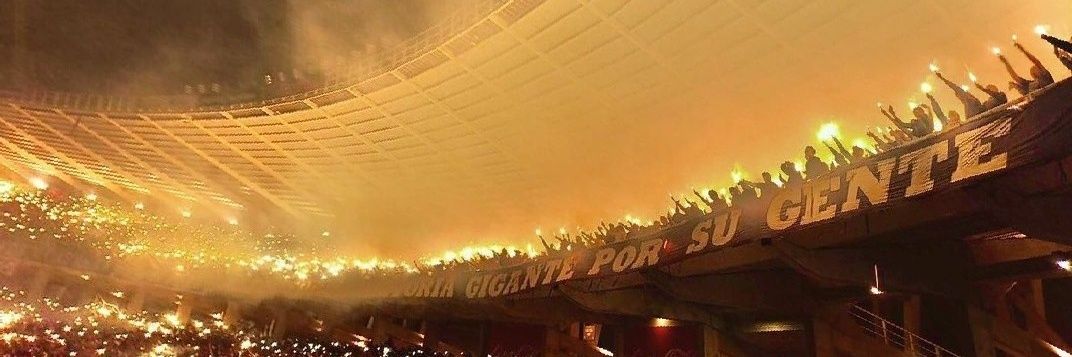 Mauri banner