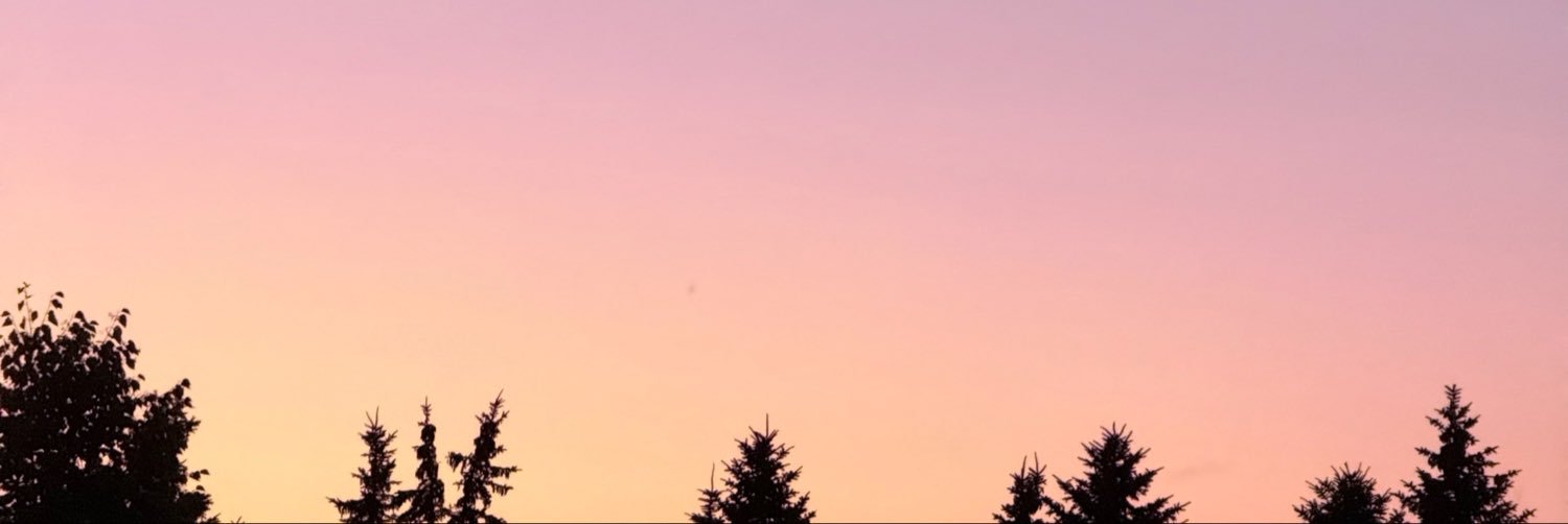 spacystephy's profile banner image
