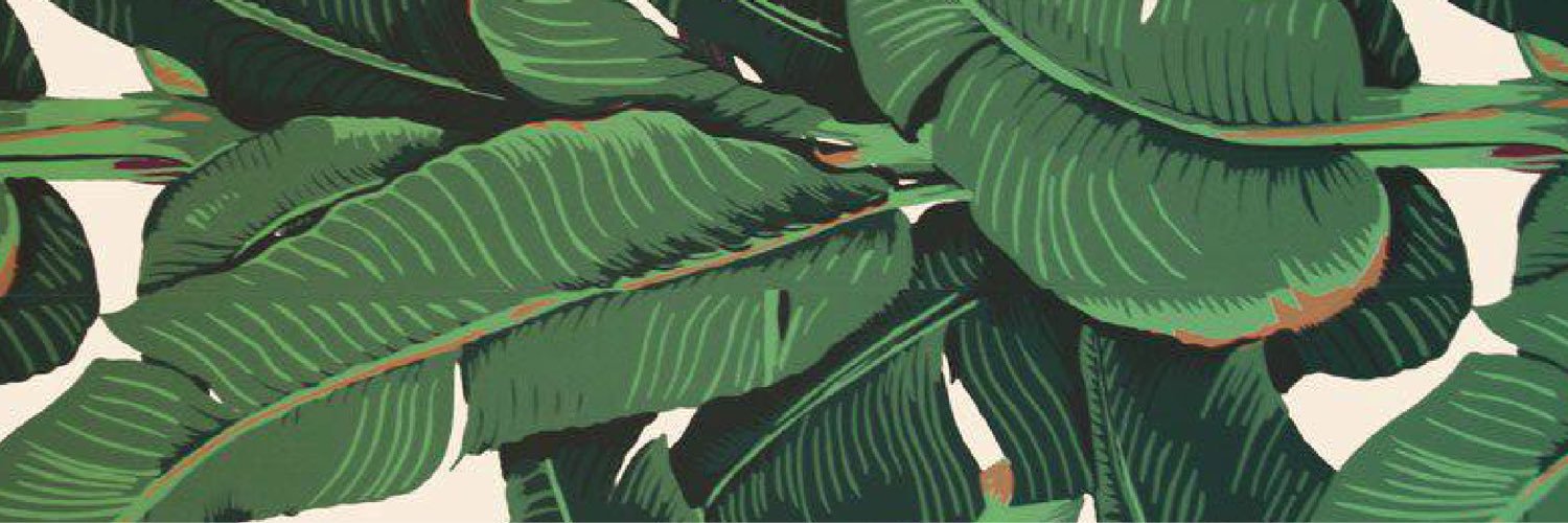 ashleykgray's profile banner image