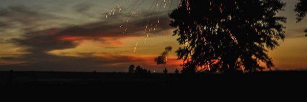 nick_detweiler Profile Banner