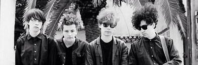fede banner