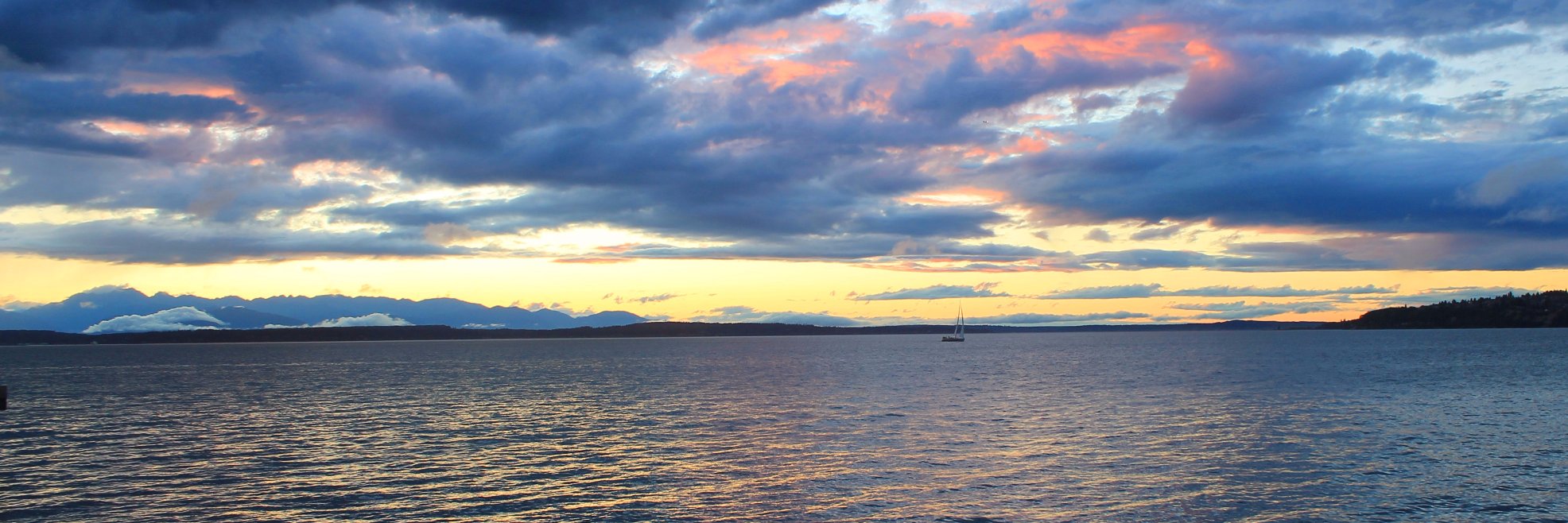 Steve_Turpin's profile banner image