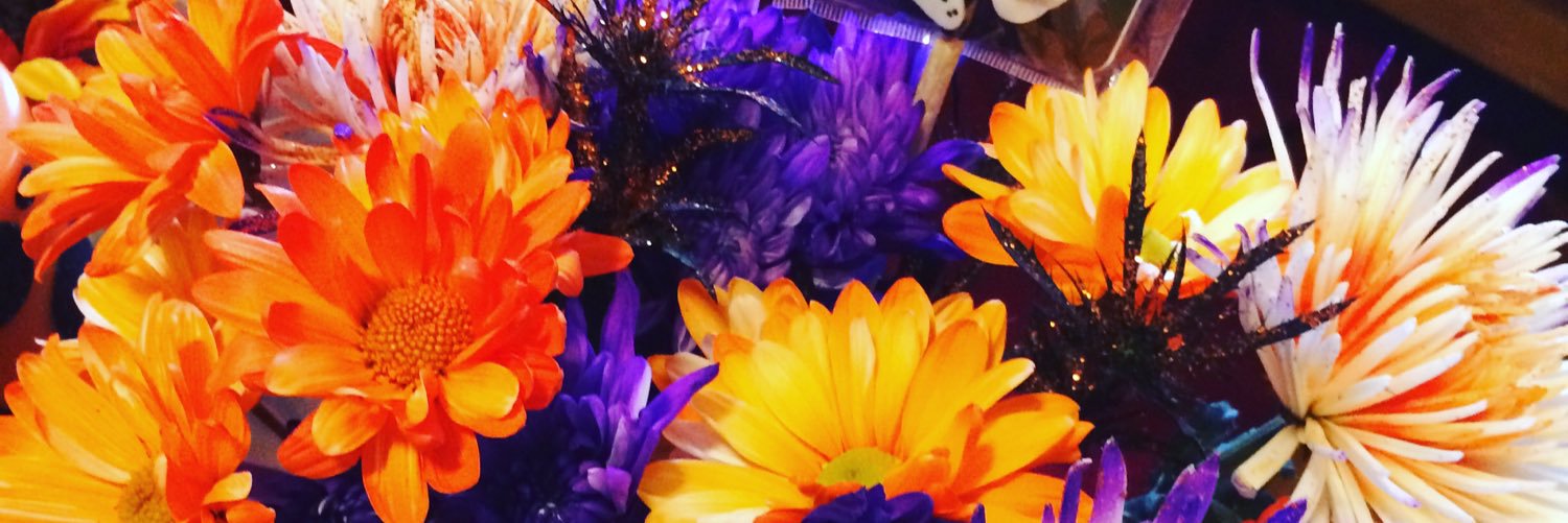 Jenn Meadows banner