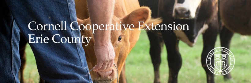 CCE Erie County banner