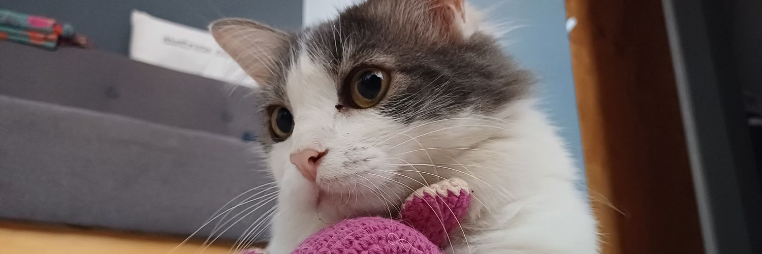 Jimeeee15's profile banner image