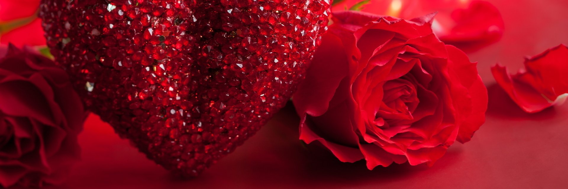 ElenaTofu's profile banner image