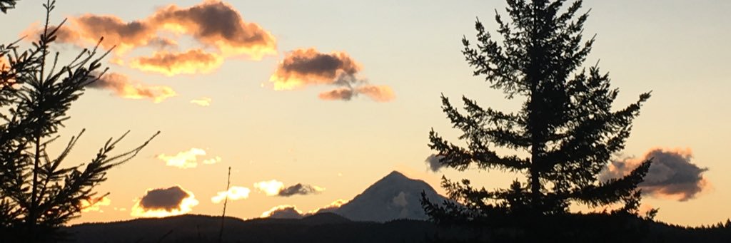 teacher_mann's profile banner image