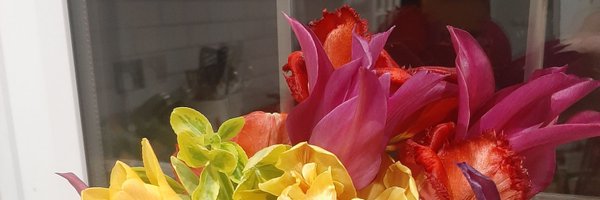 pauldappleby Profile Banner