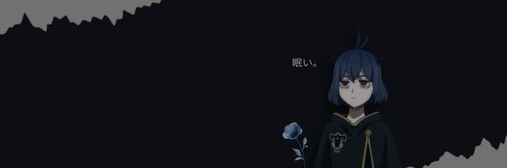 neroantibird's profile banner image