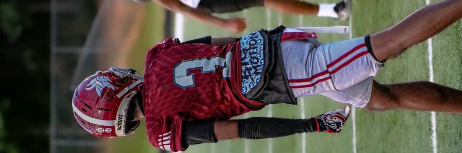 Nathan Holston's banner