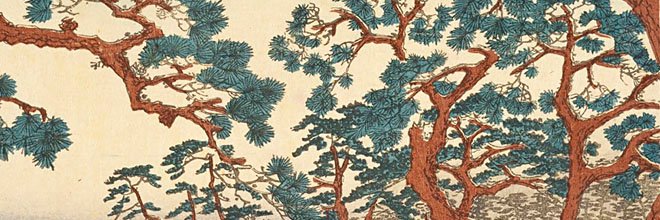 Diana F. Irusta banner