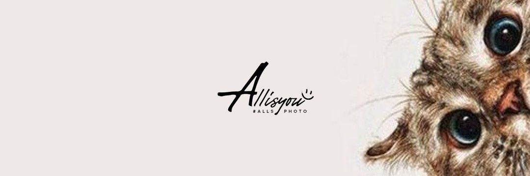 𝘈𝘭𝘭𝘪𝘴𝘠𝘰𝘶​シ banner