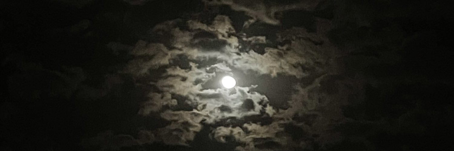fxjer's profile banner image
