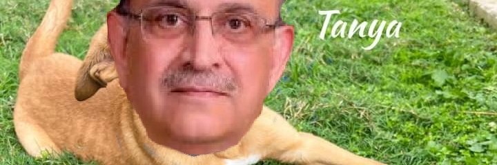 Gul1619795's profile banner image