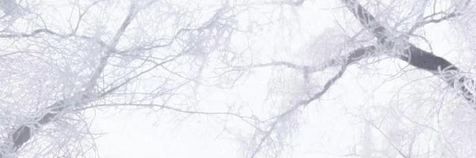 xb😪（｡ӧ◡ӧ｡）'s banner