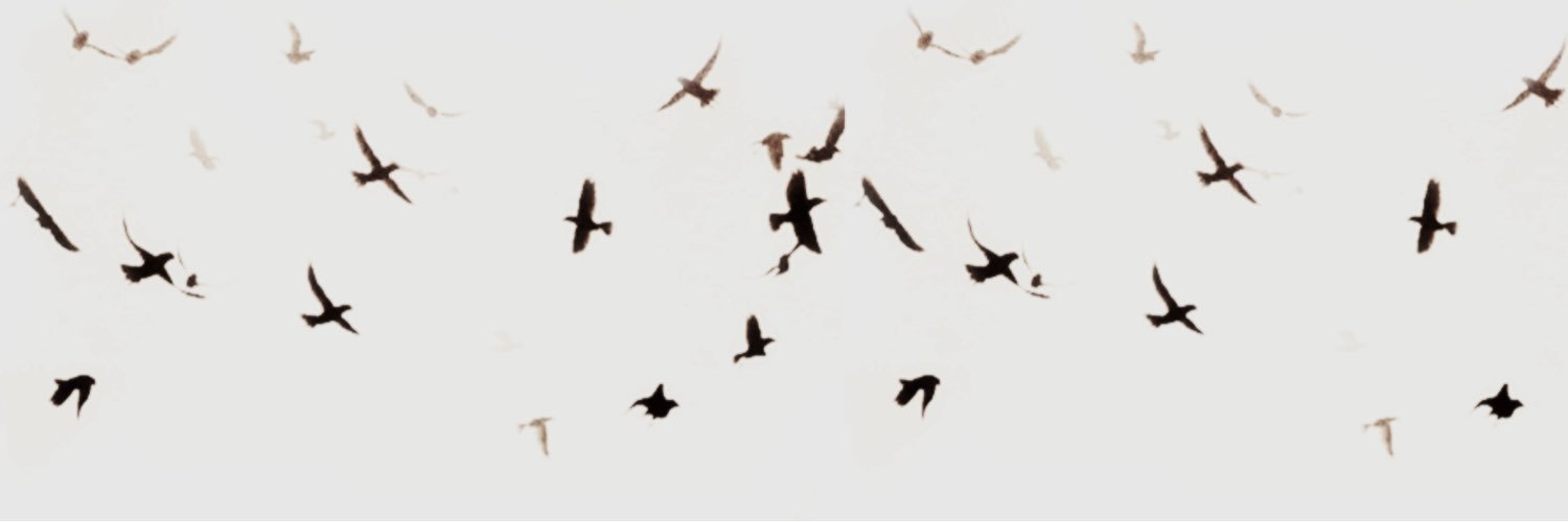 NonsensicalMuse's profile banner image