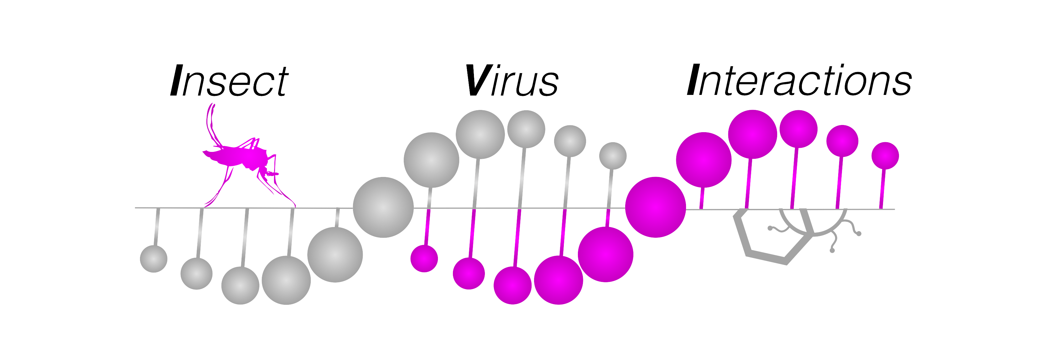The Lambrechts Lab @lambrechtslab.bsky.social banner
