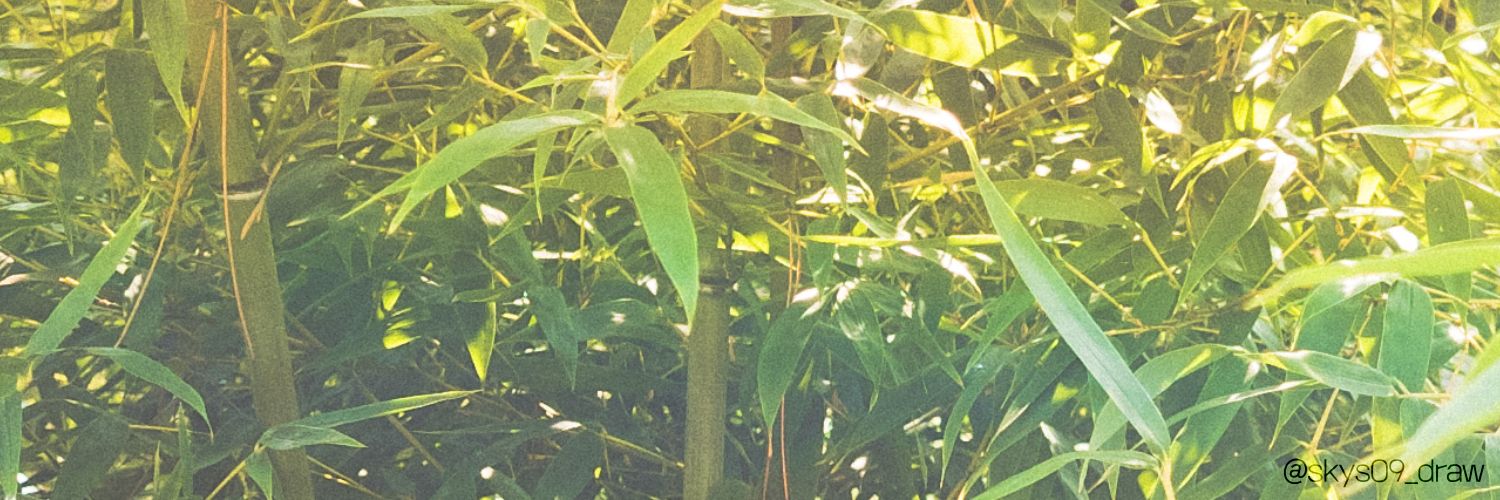서쿠 🌿 banner