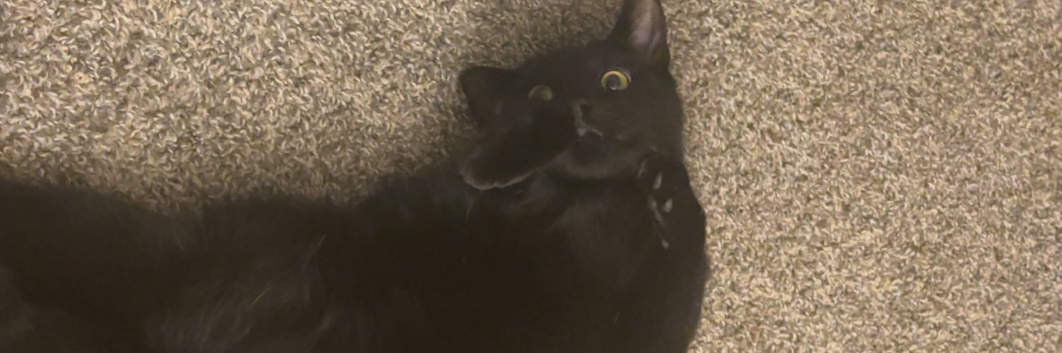 RyanHardison2's profile banner image