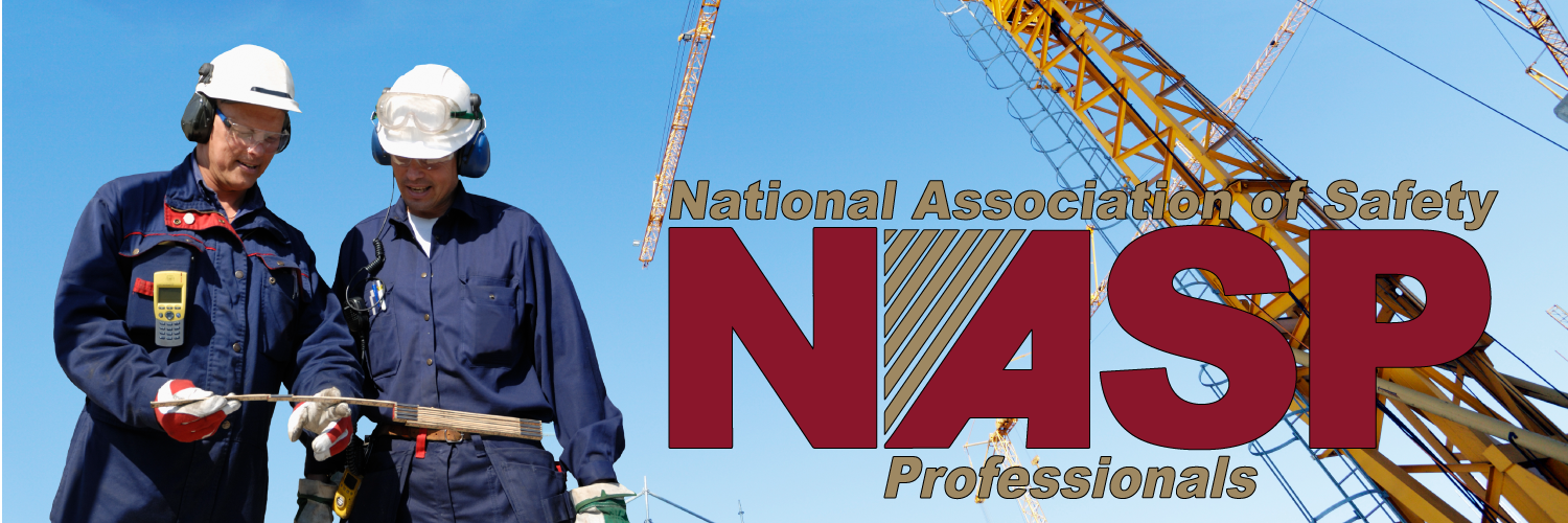 National Association of Safety Professionals banner