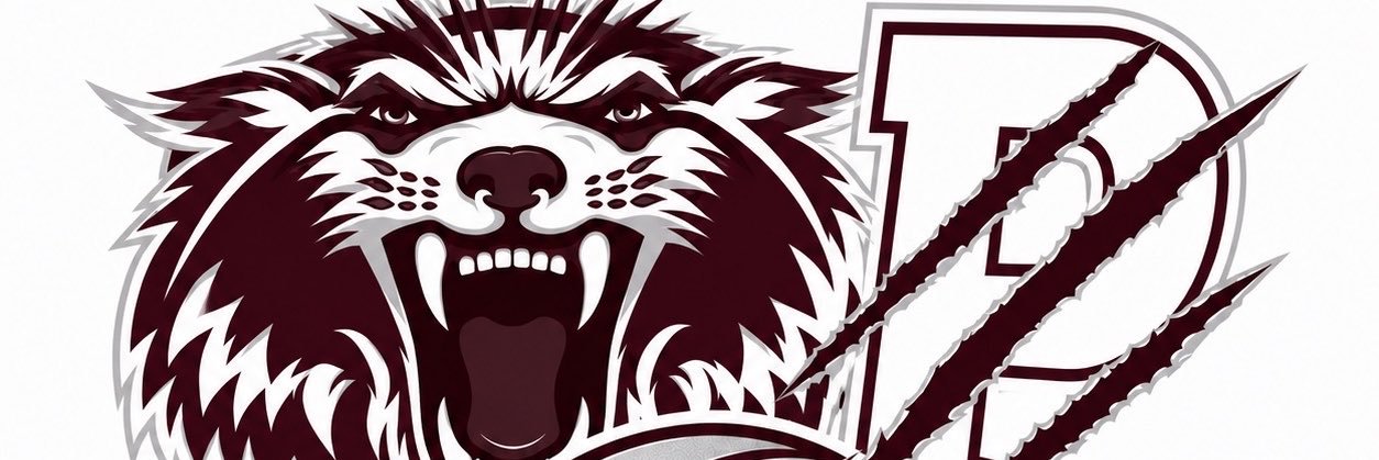 PlanoGirlsBBall's profile banner image