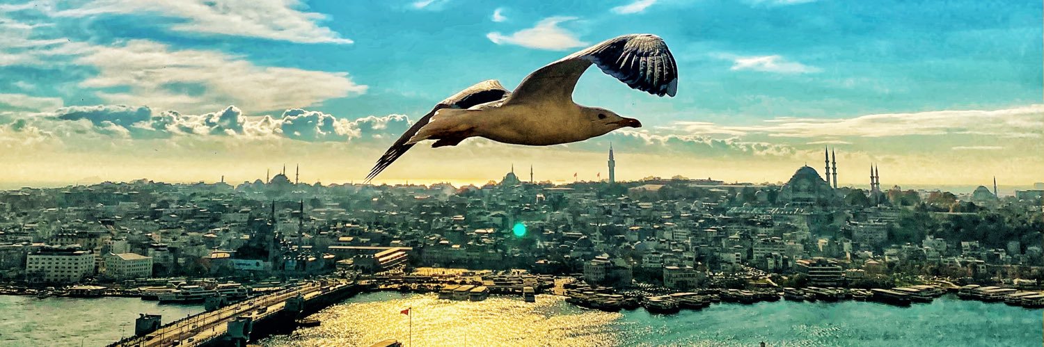 okngalli's profile banner image