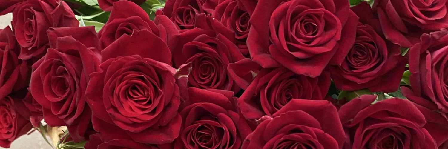 meeeem91's profile banner image