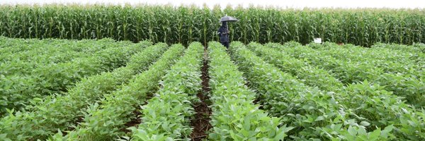 GodfreyOmulo Profile Banner