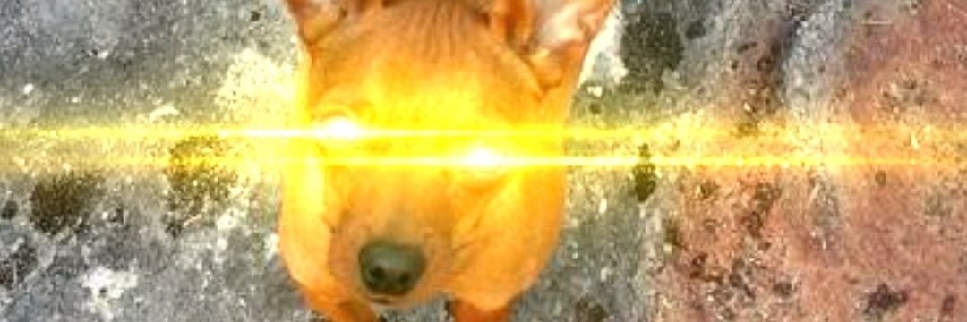 adamkvh's profile banner image