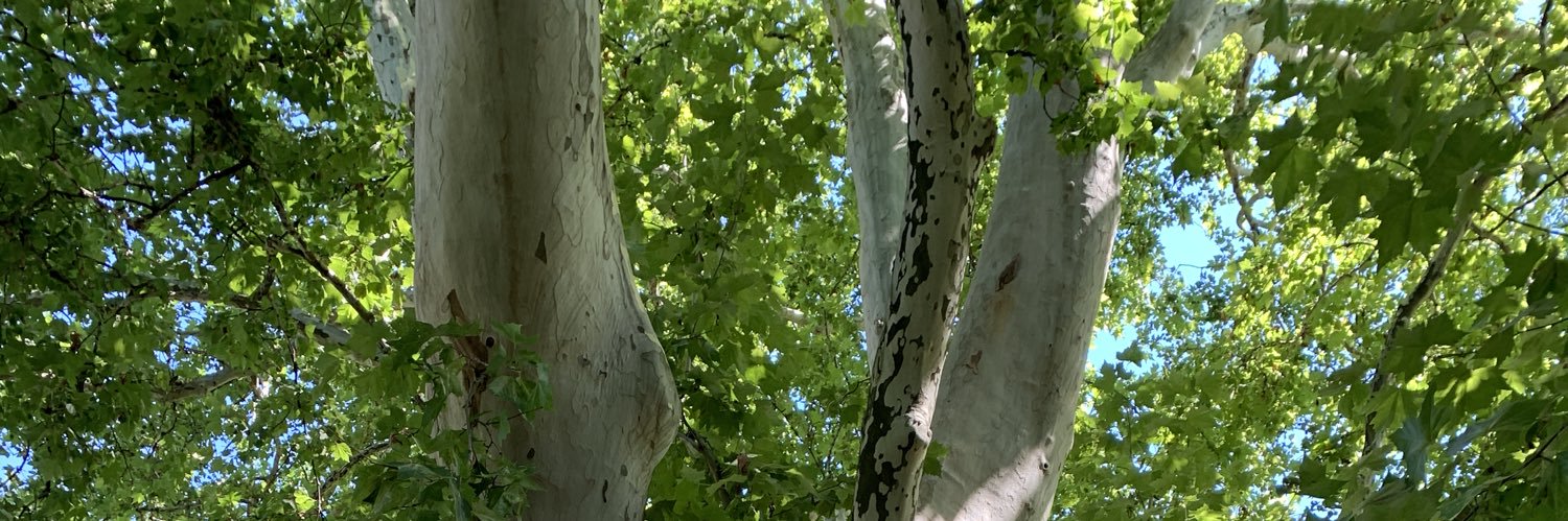 Arbor_Educ's profile banner image