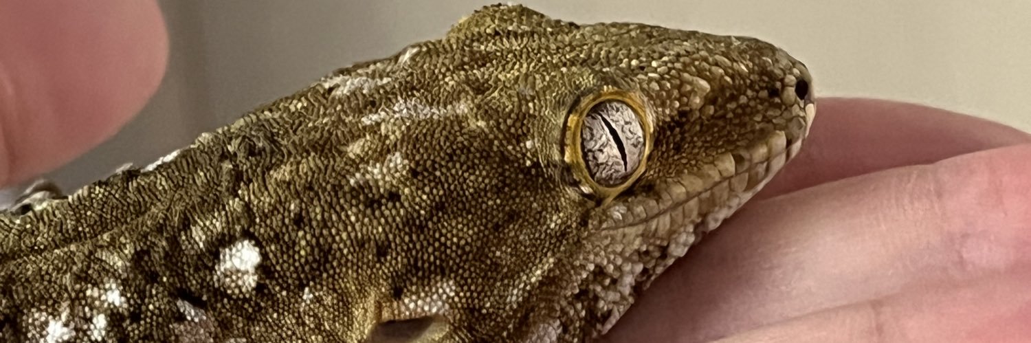 エチコバール banner