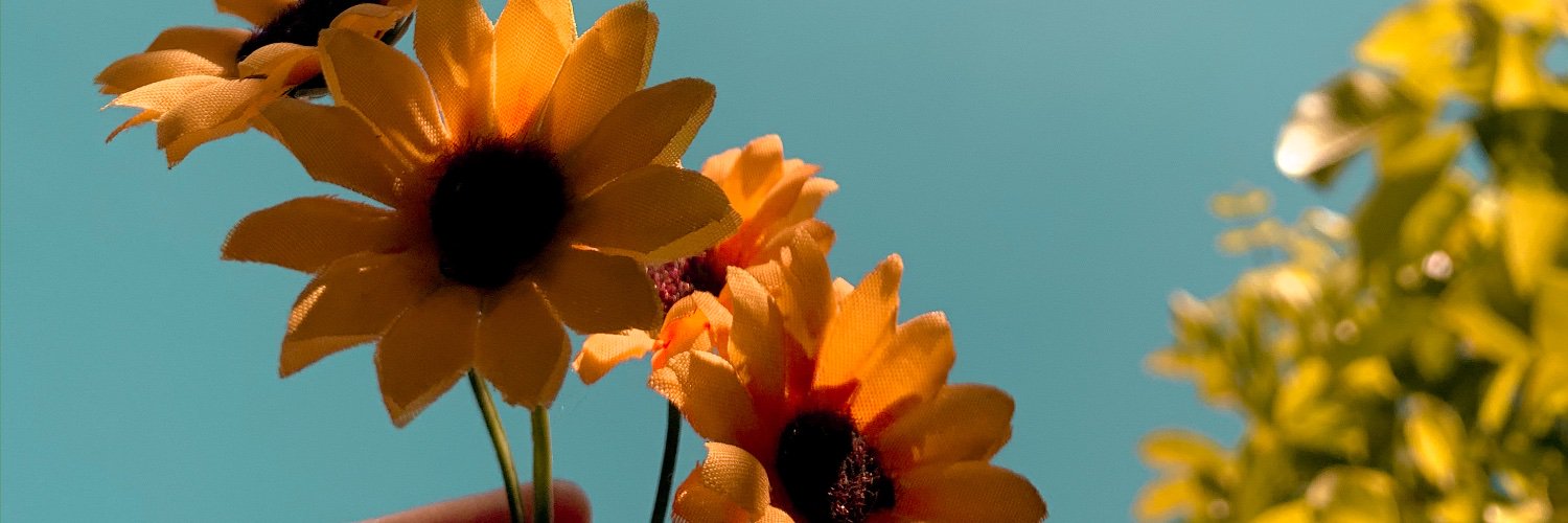 debbysintya's profile banner image