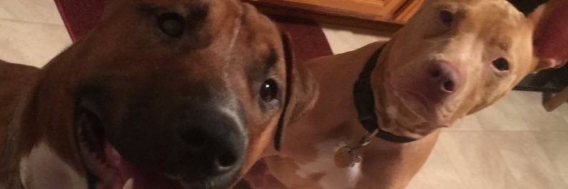 LtfuSabrina's profile banner image