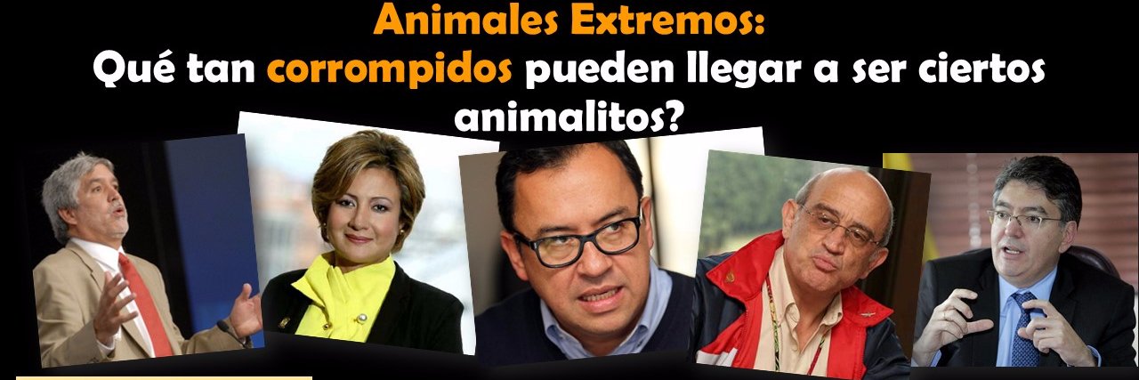 lahoradelnecio's profile banner image
