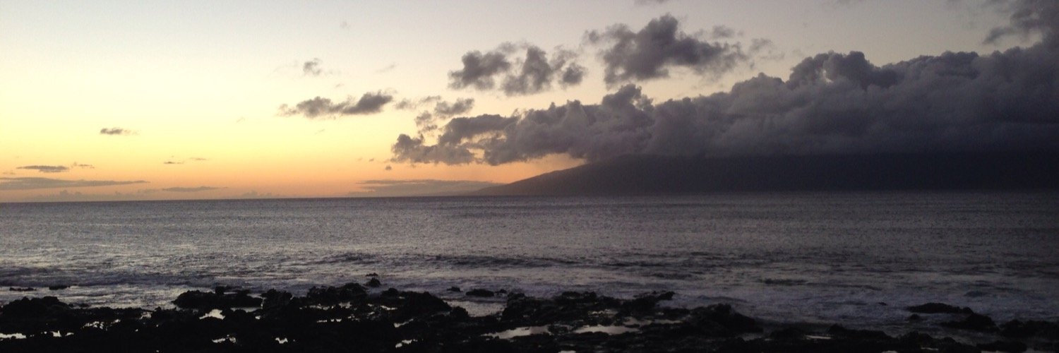 Scott Phillips banner