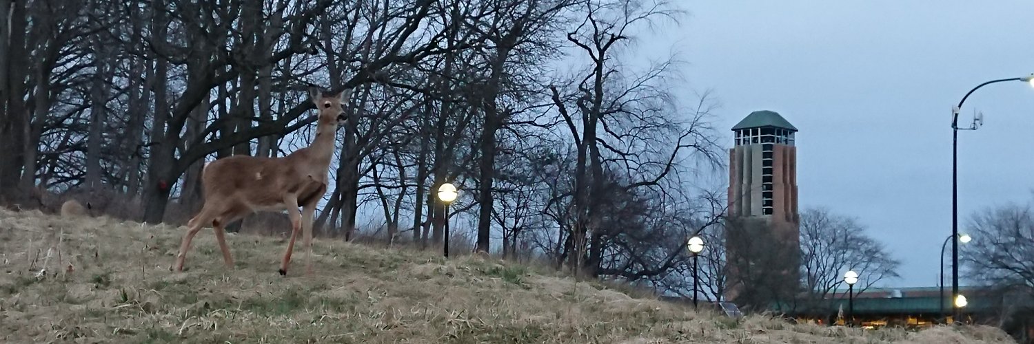ozawa64's profile banner image