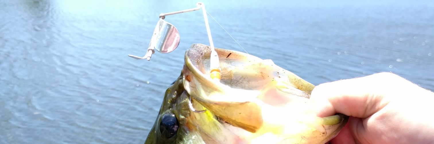Caleb_Phillippi's profile banner image