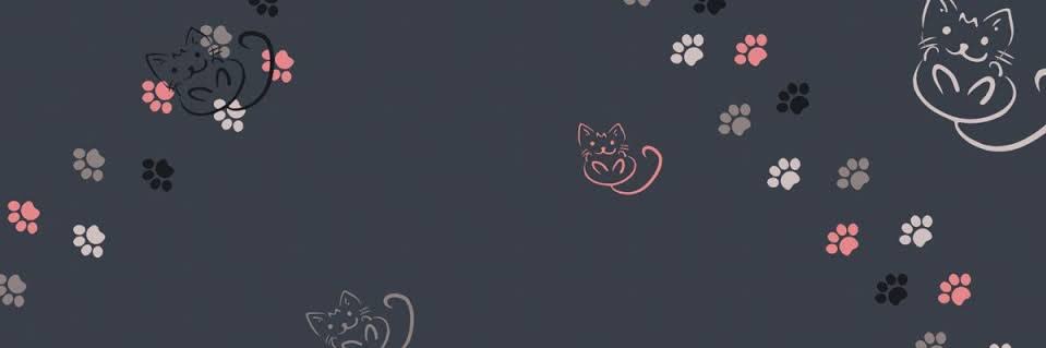 roch ⚯̫ banner