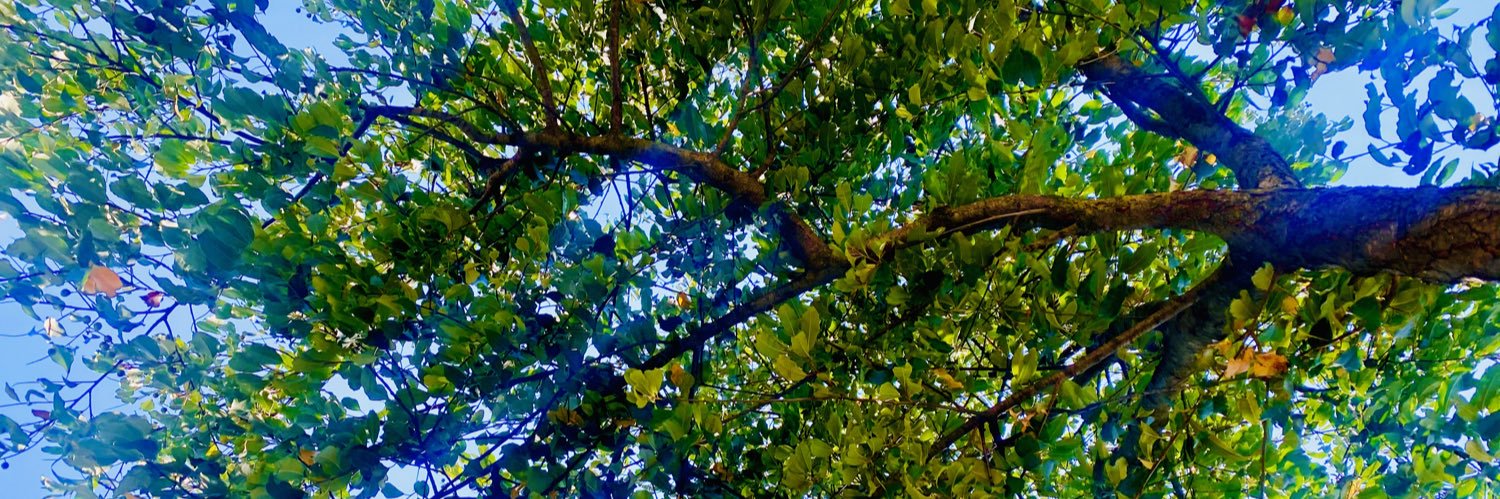 mmon_jb's profile banner image