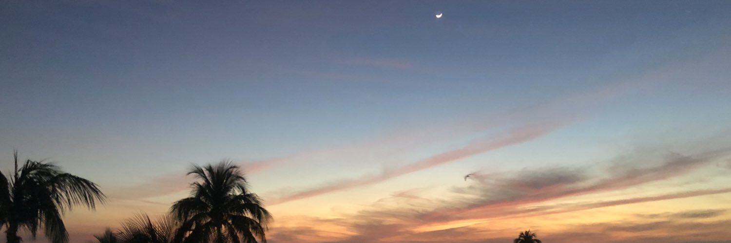 maddiegvanb's profile banner image